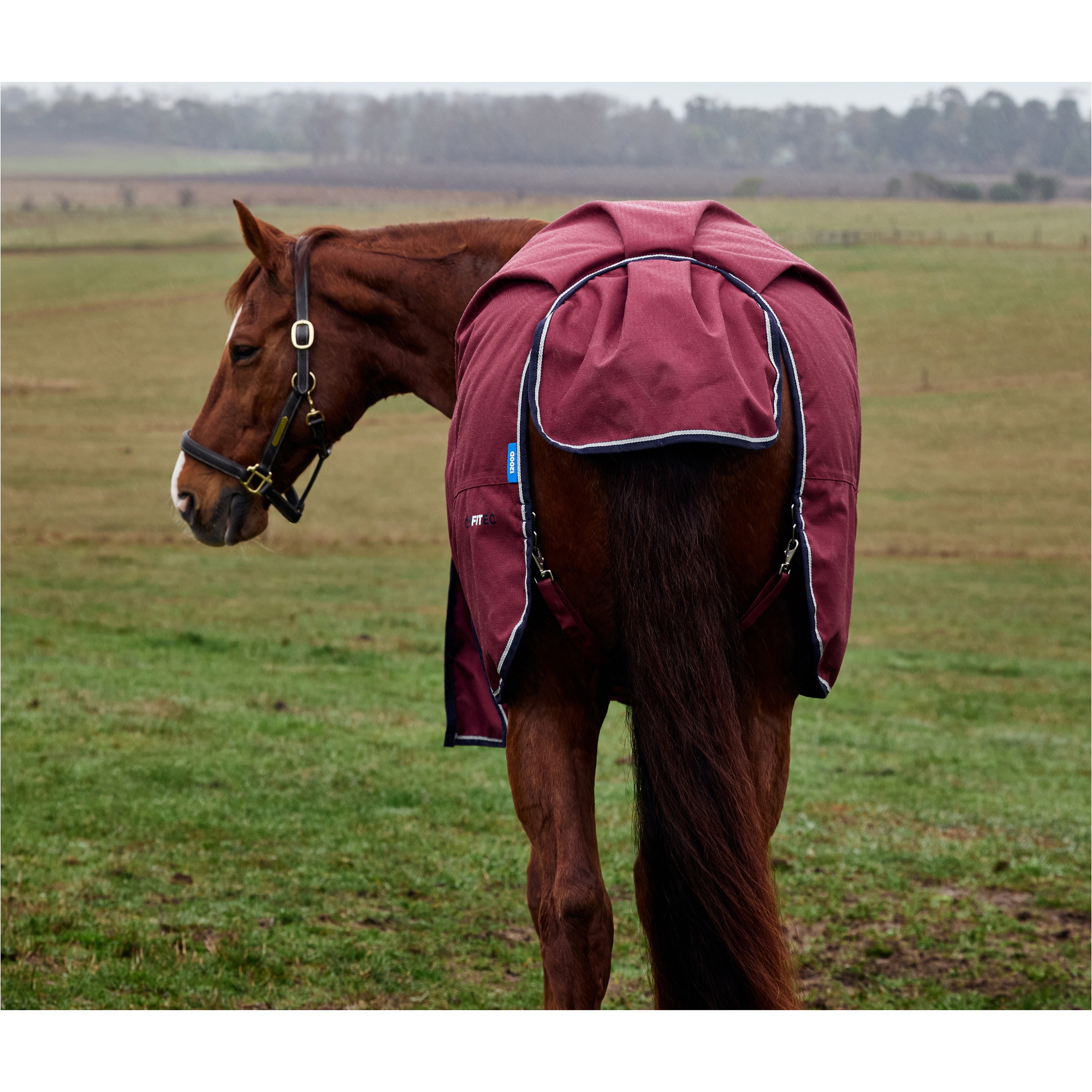 2025 Weatherbeeta Comfitec Prelim Turnout 1029033 - Burgundy